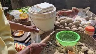 Tangy Woodapple & Guava Chutney on a Moving Street Cart | Pure Veg Street Food