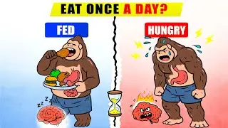 What Really Happens Inside Your Body When You Eat Once a Day