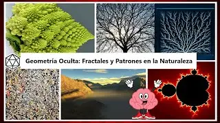 Explorando la Geometr&iacute;a Oculta: Fractales y Patrones en la Naturaleza || Mate Blog 📚✨