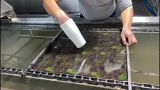 TSAUTOP | Any Design, Any Cup: Personalize with Hydro Dipping#hydrodipping #customdesigns #diycraft