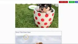 viral sites using retainio