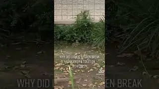 Why did Ludwig Ahgren break Hasan Pikers toilet?