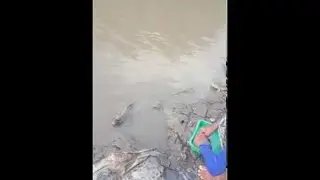 Feeding the Mudfish || ViralHog