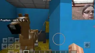 La visite de mon centre équestre Minecraft