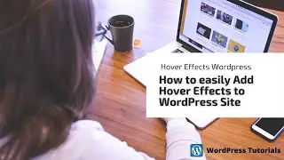 How to easily Add Hover Effects to WordPress Site | Hover Effects Wordpress