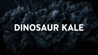 Dinosaur Kale &ndash; The Ancient Leaf That Survived Every Food Trend