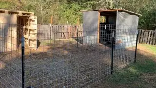 DIY Maternity Pen / Baby Goat Pen