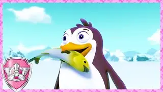 Who Is The Snow Monster? (Compilation) | Skye - Paw Patrol & Friends | Cartoons For Kids