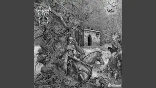 Lost in Mystic Woods and Cursed Hollows