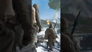 Что на самом деле означает День ветеранов? #veteransday #usa #usmilitary #ww1 #ww2 #usarmy #veteran