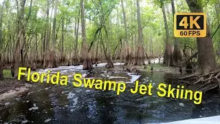 Jet Ski Adventure in a Florida Jungle Creek! | 4K 60fps Thrills & Obstacles