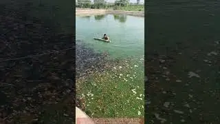 Ornamental Fish Farming in Farmland Ponds