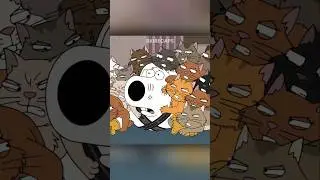 Meg Velha dos Gatos