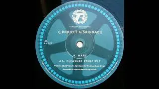 Q Project & Spinback - Pleasure Principle
