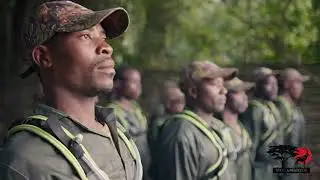 DSC Foundation - Who We Are