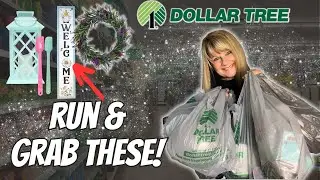 Dollar Tree 🤯UNBELIEVABLE! All New Items!