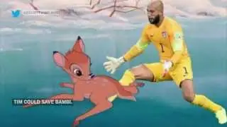 The Internet's best Tim Howard memes