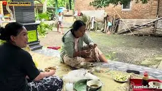 GOLEK SOTONE KATUR MALAH GK ISO MULIH