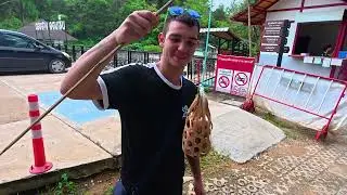 Chiang Rai Tha&iuml;lande jungle cascade source !