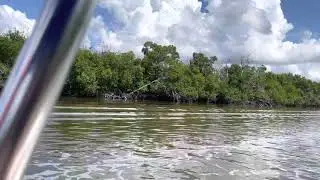 Ten Thousand Islands to white horse key
