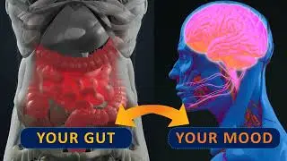 Nutritional Psychology and the Gut-Brain Connection