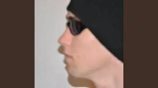 DiscoDelfin