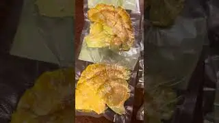 Chicken of the woods mushroom, how to preserve, recipe, beginner introduction