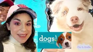 VISITING CALIFORNIA SCIENCE CENTER SPECIAL EXHIBITS: DOGS! A SCIENCE TAIL & SPACE SHUTTLE ENDEAVOR