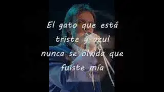 Roberto Carlos El Gato que Est&aacute; Triste y Azul 1972 Con letra
