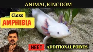 Class Amphibia learning tricks in Malayalam/Animal kingdom Revision/NEET ADDITIONAL POINTS/CLASS XI
