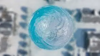 The 