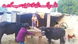 Simple Traditional Living | Allah Pak Aisi Khushiyan Sab Ko Dy | Mona Bhuto