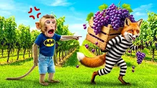 🚁 DRONE CATCHES THIEF! Police Panda BUSTS Fox Foo Stealing BoBo's Grapes! 😱🍇🚓 BoBo Monkey Life