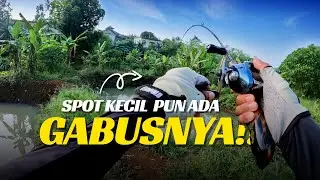 ADA AIR ADA IKAN‼️Casting Gabus Cilangkap DEPOK🎣