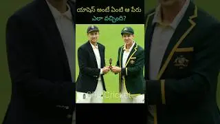 యాషెస్ అంటే ఏంటి ఆ పేరు ఎలా వచ్చింది? #shorts #reels #viral #trending #splcricket