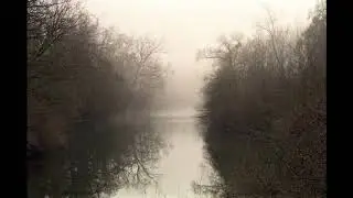 Rodrigo Amarante - The Ribbon [live]