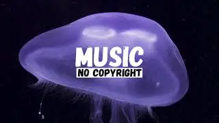 Holi Day Riddim - Konrad OldMoney (No Copyright Music)