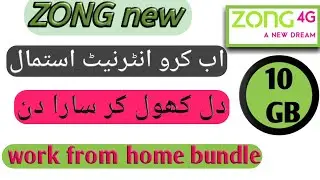 zong new package  || zong work from home || zong stay at home bundle
