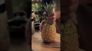 GUIA DE USO