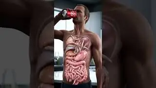 Drinking Coca-Cola Digestive Process Explained  Realistic 3D Animation