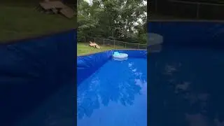 Building a Massive Backyard Pool  Update #2