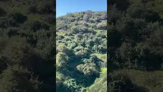 Trying a new way down. Fast and flowy..#bike #mtb #socalmtb