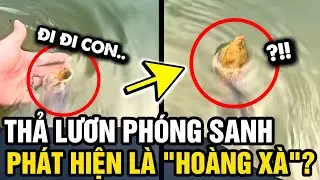 Quay clip PHÓNG SANH LƯƠN, dân mạng phát hiện đó là 'HOÀNG XÀ' | Tin 3 Phút