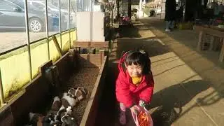 2026년 1월 13일