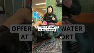 How I navigate the airport with my service dog (WATER BREAK) #dogsofyoutube #dayinmylife