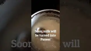 Pure Homemade Paneer with Fresh Milk | Cheese Recipe by Flavory Food