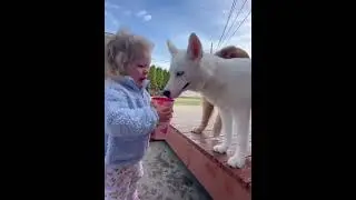 Dog with kids #dog