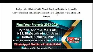 Lightweight EfficientNetB3 Model Based on Depthwise Separable Convolutions for Enhancing