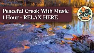 Peaceful Creek with Music and Sun- River Sounds with Original Relaxing Music - 1 Hour