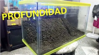 ¿COMO ACOMODAR EL SUSTRATO EN UN AQUASCAPING PARA DARLE PROFUNDIDAD?